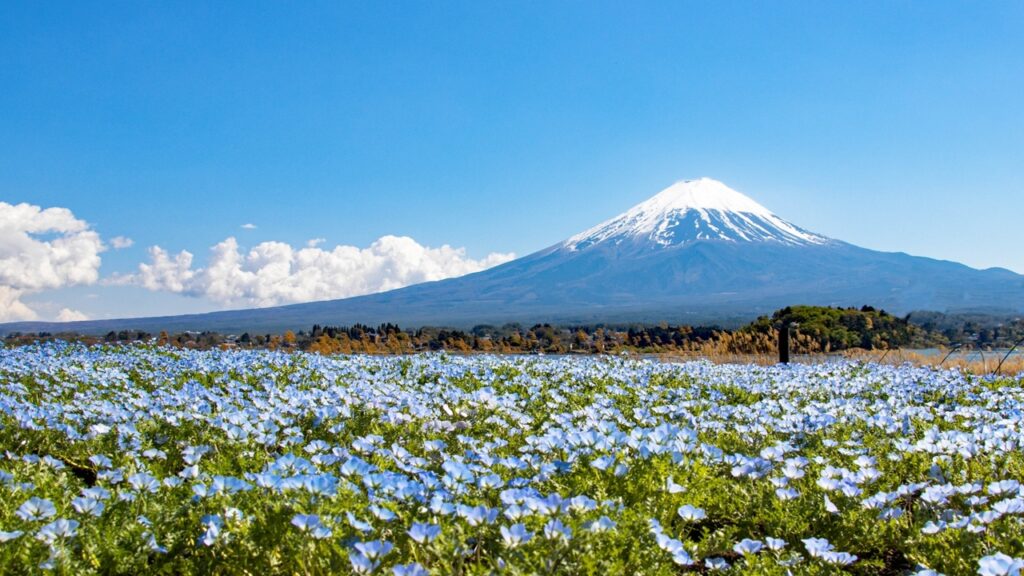 メインビジュアル1｜一度は泊まりたい 日本の高級旅館・ブティックホテル（Best Boutique Stays Japan）