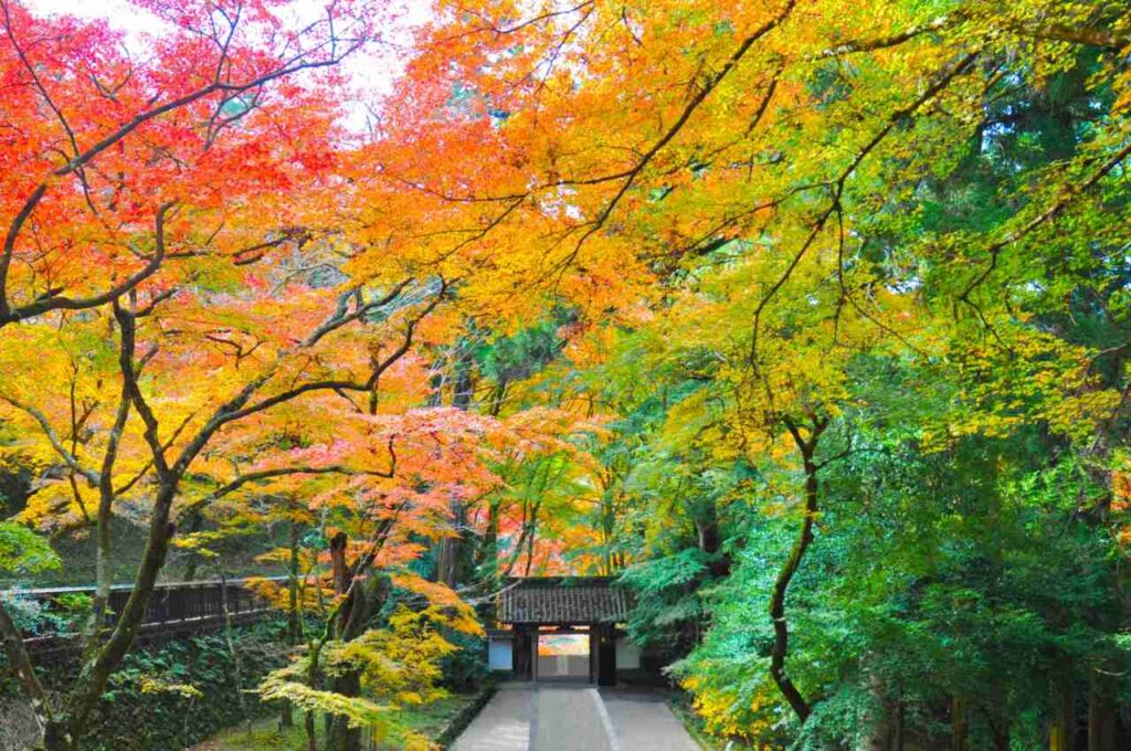 秋の紅葉-愛知県「香嵐渓の紅葉と香積寺山門」｜一度は泊まりたい 日本の高級旅館・ブティックホテル（Best Boutique Stays Japan）